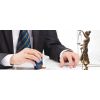 Company registration of any type