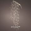 Kaemingk / LED 装饰 - 藤本植物 Lustre Otto 140 厘米，720 颗冷白迷你 LED 灯闪烁，IP44