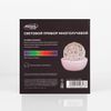 Luazon Lighting / Lighting device "Crystal ball on a stand"