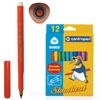 Markers CENTROPEN "Standart", 12 colors, ergonomic, vented cap, carton packaging