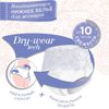 iD / Absorbent panties for women, size M