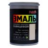 Enamel color universal acrylic PALIZH