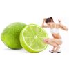 Seedless lime