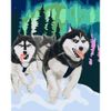 Опт-картина / Tranh theo số 20x30 Husky