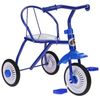 Bicycle "Micio TR-311"