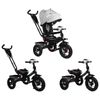 Bicycle "Micio Comfort Plus"