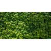 Greengo / Photo grid, 250 × 158 cm