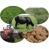 Promotion of agricultural products in the Russian Federation, news and upcoming exhibitions of the agricultural sector