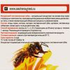 Сашель / Concentrate "Naturonic. Larch sponge", intensive weight loss, 100 g