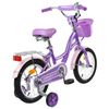 GRAFFITI / Premium Girl Bicycle