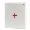 MIRAL / First aid kit for workers, up to 8 people, hinged plastic case, composition - by order No. 169n