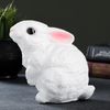 Хорошие сувениры / Piggy bank "Bunny is worth"