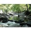 TOURS IN GEORGIA for 1 - 6, 8 or 10 days