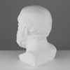 Мастерская Экорше / Plaster figure "Head of Socrates"