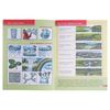 МОЗАИКА-СИНТЕЗ / Full year course from 6 to 7 years "12 books with games and stickers, Denisova D,"