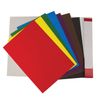 Cardboard A4 colored uncoated (matte), 8 sheets in 8 colors, in a folder, BRAUBERG, 200х290 mm, Dolphin