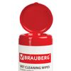 BRAUBERG / Napkins for plastic surfaces 13x17 cm, tube 100 pcs., Wet