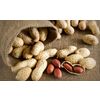 Peanuts