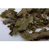 Oolong tea