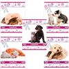 BRAUBERG / Notebook A5, 48 sh., Cage, sparkles, FRIENDS / 10 pcs.