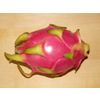 Fresh dragon fruit