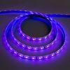 Ecola / LED strip "PRO", 12V