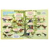 Умка / Umka / Libro con ventanas "Secretos de los dinosaurios"