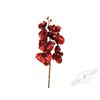Holiday Classics / Ramo di orchidea "Scintille d'oro", 6 pezzi