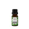 Essential oil of black pepper SIBERINA
