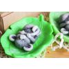 Milotto / Soap "Mouse"