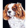 Опт-картина / Pintura por números Spaniel 20x30