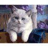 Опт-картина / Tranh theo số 40x50 Kitten