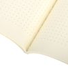 BRAUBERG / Notebooks 60 l. point to point cover SoftTouch, SET of 2 pcs., beige paper 70 g / m2, stitching, B5 (179x250 mm), NIGHT