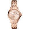 Fossil / Relojes FB-01 ES4748