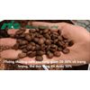 Roasted coffee