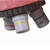 LEVENHUK / Children's microscope LabZZ M101 Orange, 40-640x, monocular, 3 objectives