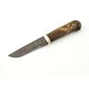 Squirrel knife from laminated steel, stabilized handle from Karelian birch A518