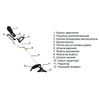 Trimmer Electric Huter GET-1200SL, 1.2 kW power, disassembled shaft, fishing line/knife