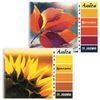 BRAUBERG  / Sketchbook ECO "Macro" (2 loại), 205x290 mm, 24 tờ A4, lược, bìa cứng