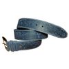 Belt the rider