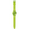 Swatch / 斯沃琪 / 瑞士手表 Essentials GG227