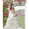 Опт-картина / Pintura por números 40x50 Vestido branco