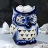 Ваше здоровье /  Salt lamp "Owlet painting"
