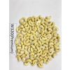 Cashew Kernel