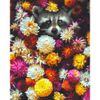 Опт-картина / Sayılara göre boyama 40x50 Rakun çiçekler