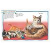Encyclopedia children's. 100 facts. Cats and kittens. Parker S.