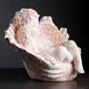 Хорошие сувениры / Figure "Angel in a shell" 35x42x31 cm