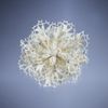 Снежинка / Snowflake / Brooch lace "Flowers in hoarfrost"