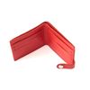 Copernica rose red