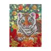 Школа талантов / Diamond embroidery "Tiger"
